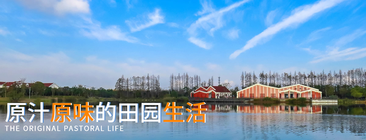 蚂蚁体育,上海扩大,上海扩大指导,上海扩大公司,上海家庭日,上海趣味运动会,上海户外扩大
